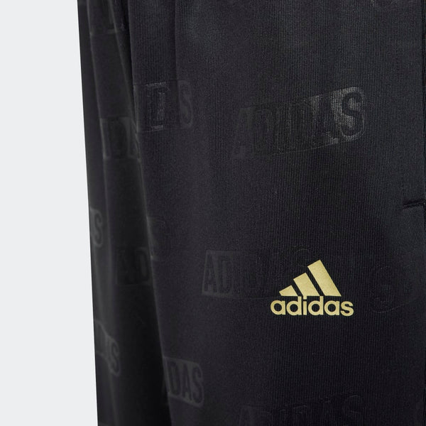 Adidas Bluv Q4 Training Pant