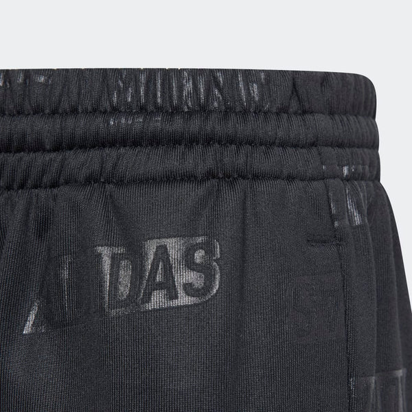 Adidas Bluv Q4 Training Pant